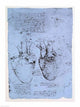 The Heart Poster Print by Leonardo Da Vinci showcasing intricate detail.