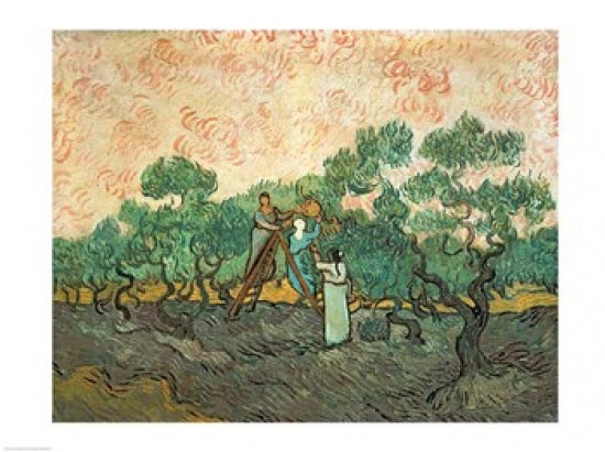The Olive Pickers Fine Art Print by Vincent Van Gogh, vibrant colors and unique brushwork.