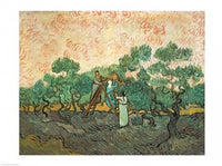 The Olive Pickers Fine Art Print by Vincent Van Gogh, vibrant colors and unique brushwork.