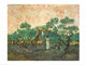The Olive Pickers Fine Art Print by Vincent Van Gogh, vibrant colors and unique brushwork.