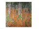 http://c328301.r1.cf1.rackcdn.com/BALXAM68626.jpg