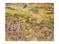 Meadow with Butterflies Fine Art Print by Vincent Van Gogh