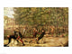 The Assassination of St. Peter Martyr Poster Print by Giovanni Bellini