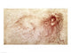 http://c328301.r1.cf1.rackcdn.com/BALXIR161992.jpg
