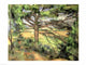 The Large Pine art print by Paul Cézanne, depicting a serene pine tree.