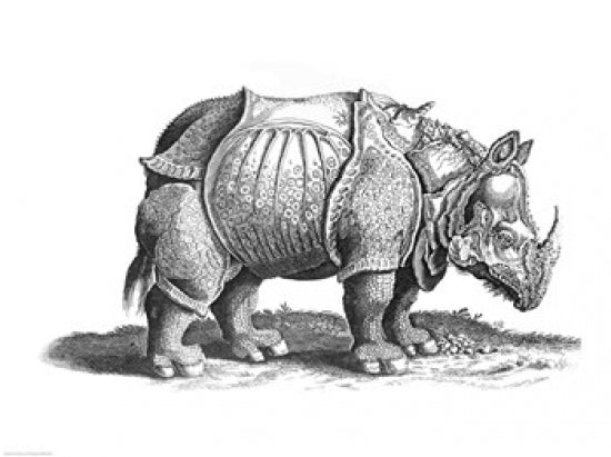 Rhinoceros Poster Print by Albrecht Durer - Art Print