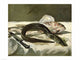 Eel and Red Mullet Art Print by Edouard Manet showcasing vibrant colors and detail.