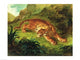 http://c328301.r1.cf1.rackcdn.com/BALXKH144525.jpg