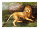 Lion Poster Print by Albrecht Durer showcasing the beauty of a lion.