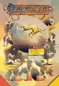 Champion Somersault Dog Rags Circus Performance Poster Print