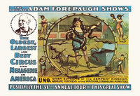 Adam John Forepaugh Circus Poster Print featuring a female snake handler.