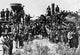 http://c328301.r1.cf1.rackcdn.com/BLL0587009691.jpg