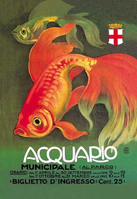 Fancy Goldfish Poster Print by Leopoldo Metlicovitz showcasing a colorful aquarium fish.