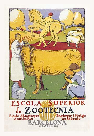 Veterinary Medicine Education Poster Print for classrooms and clinics.