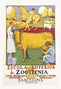 Veterinary Medicine Education Poster Print for classrooms and clinics.
