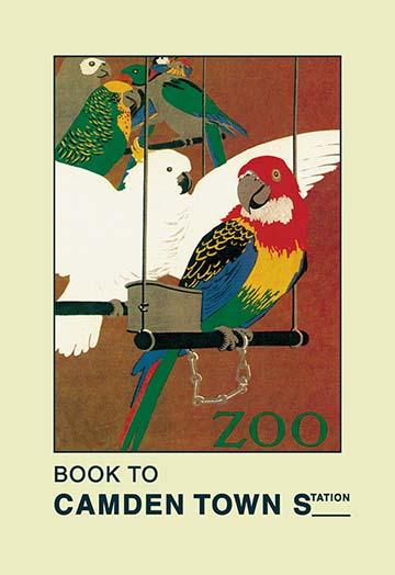 Exotic Birds Zoo Transport Poster Print featuring African grey, scarlet macaw, and cockatoo by Sydney Thomas Charles Weeks.