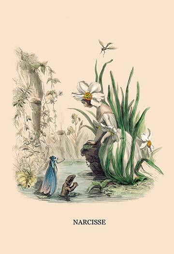 J. J. Grandville Fleurs Animées Poster Print featuring floral metamorphosis artwork.
