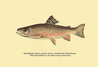 Trout Fishing in America illustration poster print by H.H. Leonard