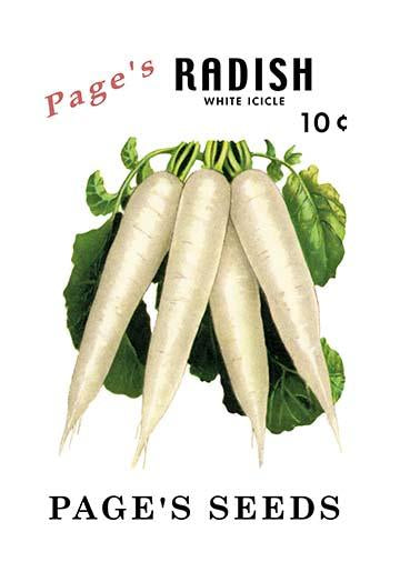 Vintage Seed Packet Art Poster Print showcasing vibrant colors and intricate details.