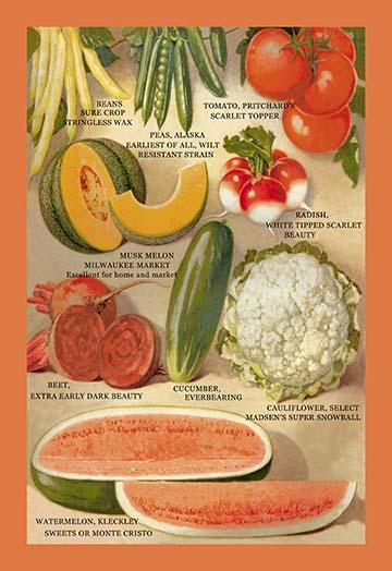 Vintage Seed Packet Page Art Poster Print from Crossman Brothers Seeds