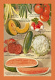 Vintage Seed Packet Page Art Poster Print from Crossman Brothers Seeds