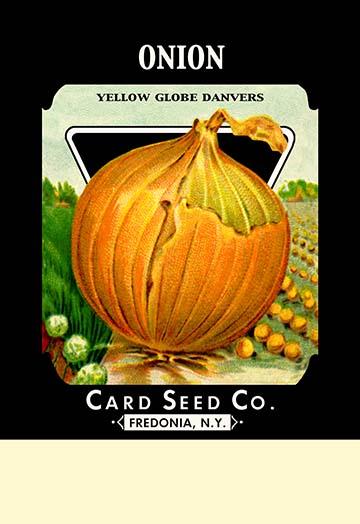 Vintage seed packet art poster print on premium paper.