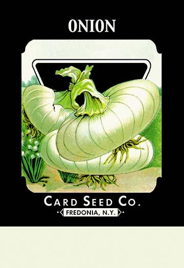 Vintage Seed Packet Art Poster Print showcasing nostalgic botanical design.