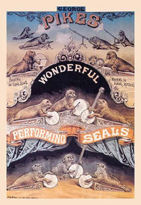 Performing seals poster print showcasing seals firing guns and playing instruments.