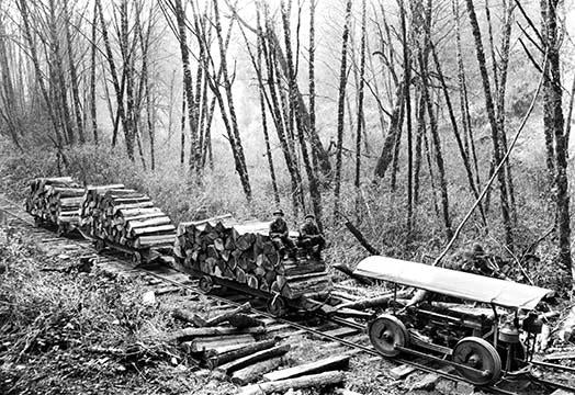 Darius Kinsey Logging Industry Poster Print showcasing historical lumber industry photography.