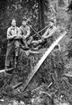 Darius Kinsey logger photography poster print showcasing lumber industry scenes
