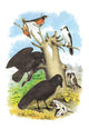 Illustrated plate from Studer's Popular Ornithology featuring North American birds.