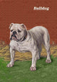 Vintage Dog Poster Print showcasing man's best friend.