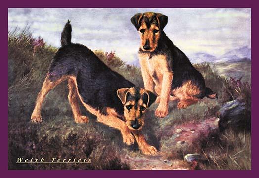 Vintage dog poster print showcasing man's best friend.