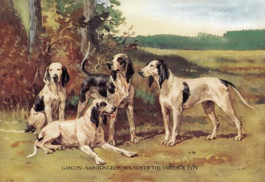 Four Dogs in the Woods Poster Print by Baron Karl Reille