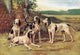 Four Dogs in the Woods Poster Print by Baron Karl Reille