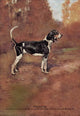 Majestic dog standing in the woods poster print by T. Ivester Llyod.
