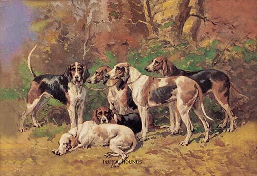 A Pack of Six Dogs Poster Print by Baron Karl Reille, showcasing dogs by the woods.