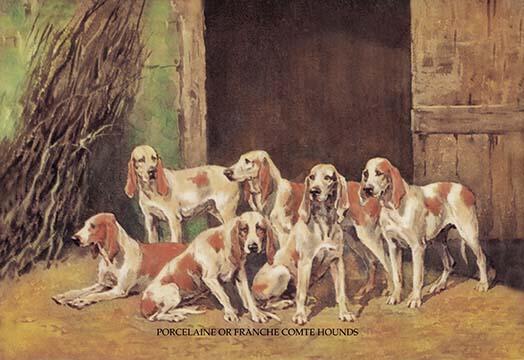 Pack of six dogs standing in front of open barn doors poster print.