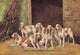 Pack of six dogs standing in front of open barn doors poster print.