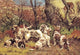 Five dogs looking at a deer in a tree poster print.