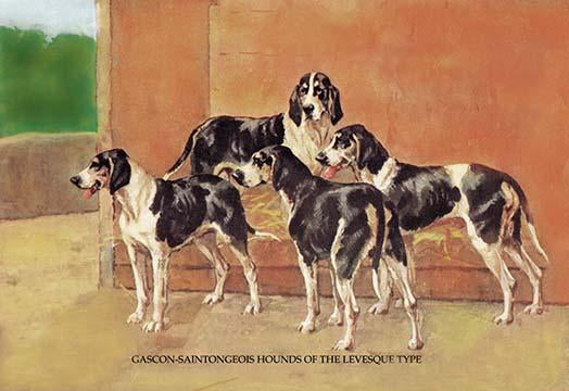 Four Dogs Poster Print by T. Ivester Llyod against a wall backdrop.