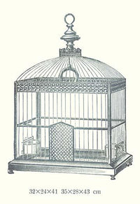 Ornamental Bird Cage Decorative Poster Print