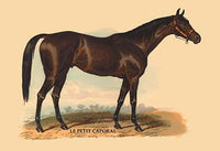 Celebrated English and French Thoroughbred Stallions Art Print by L. Penicaut