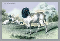 Engravings of horned mammals in natural settings hand tinted poster print by John Stewart.