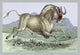 Hand-tinted engraving of horned mammals in natural settings poster print.