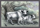 Engravings of horned mammals in natural settings poster print by John Stewart