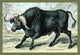 Hand-tinted engraving of horned mammals in natural settings poster print