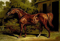 Veterinary Medicine Poster Print by Samuel Sidney, showcasing animal care practices.