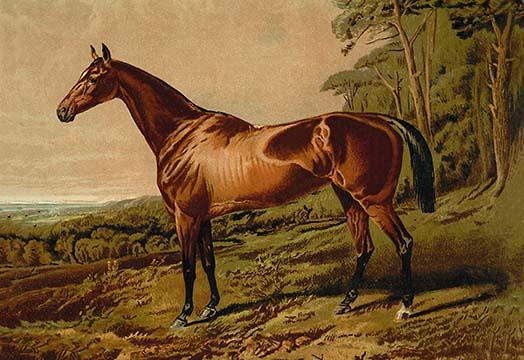 Fair Nell Painting Poster Print by Samuel Sidney on a low hill