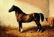 Don Carlos Poster Print by Samuel Sidney showcasing a pony hack.